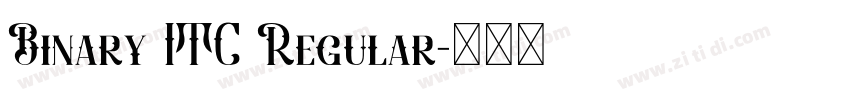 Binary ITC Regular字体转换
